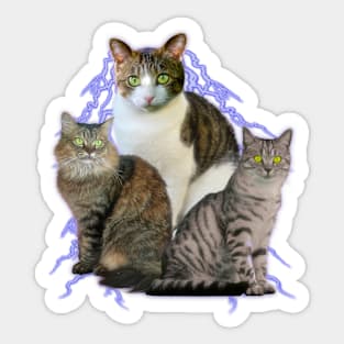 Lightning Cats - 90s y2k 2000s Style Tee Sticker